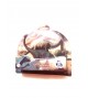 DINOSSAURO figura de Plástico Dino mania 14 cm - Pica Pau